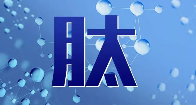 保護(hù)人類健康的新秘訣——小分子肽！