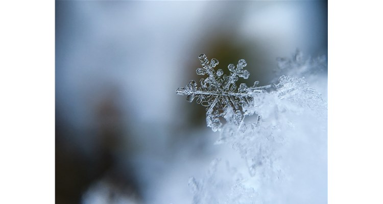 降溫了，這份健康指南，請(qǐng)轉(zhuǎn)給你關(guān)心的人！